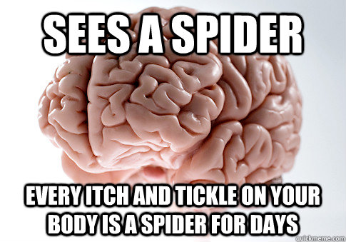 Sees a spider Every itch and tickle on your body is a spider for days  Scumbag Brain