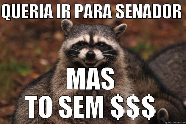 QUERIA IR PARA SENADOR  MAS TO SEM $$$ Evil Plotting Raccoon