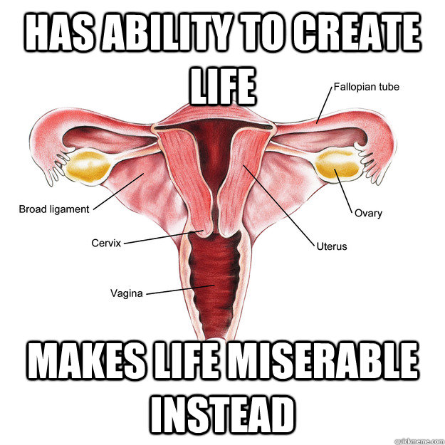 Has ability to create life makes life miserable instead  Scumbag Uterus