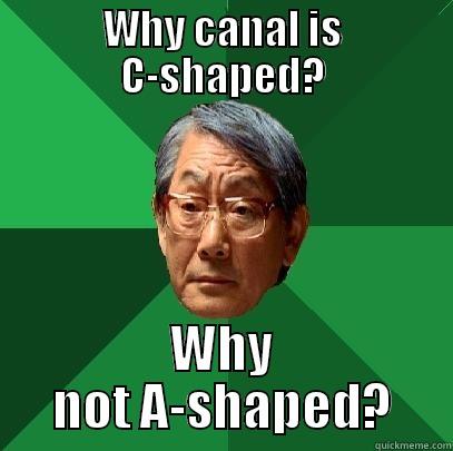 dental asian father - WHY CANAL IS C-SHAPED? WHY NOT A-SHAPED? High Expectations Asian Father