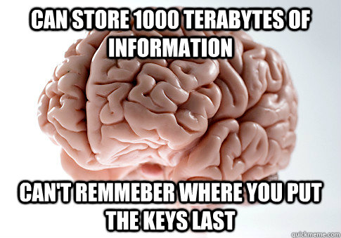 CAN STORE 1000 TERABYTES OF INFORMATION CAN'T REMMEBER WHERE YOU PUT THE KEYS LAST  - CAN STORE 1000 TERABYTES OF INFORMATION CAN'T REMMEBER WHERE YOU PUT THE KEYS LAST   Scumbag Brain