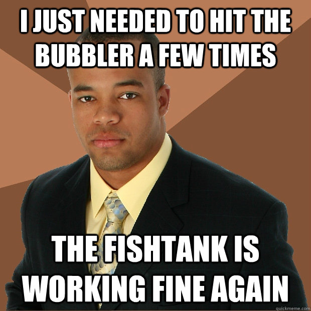 i just needed to hit the bubbler a few times the fishtank is working fine again - i just needed to hit the bubbler a few times the fishtank is working fine again  Successful Black Man