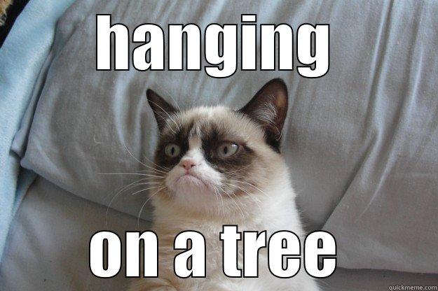     i like you a lot - HANGING ON A TREE Grumpy Cat