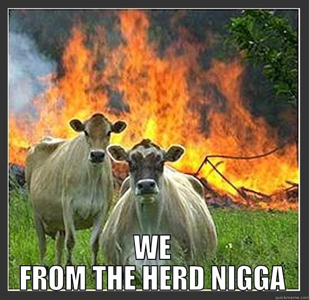  WE FROM THE HERD NIGGA Evil cows