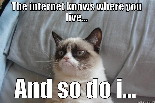 Interweb attack mole rate kinky - THE INTERNET KNOWS WHERE YOU LIVE... AND SO DO I... Grumpy Cat