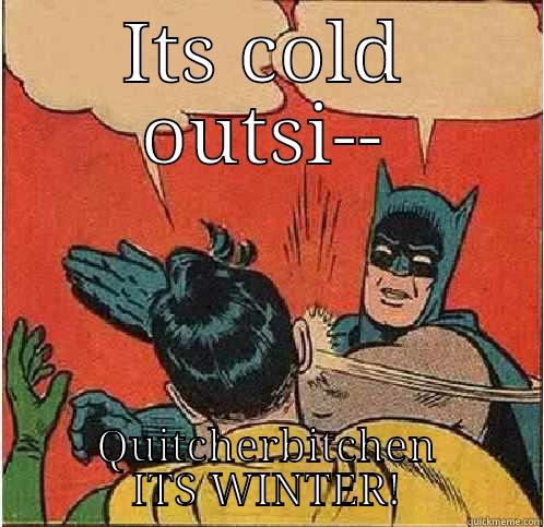 ITS COLD OUTSI-- QUITCHERBITCHEN ITS WINTER! Batman Slapping Robin