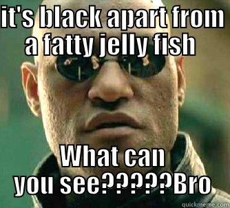 IT'S BLACK APART FROM A FATTY JELLY FISH  WHAT CAN YOU SEE?????BRO Matrix Morpheus