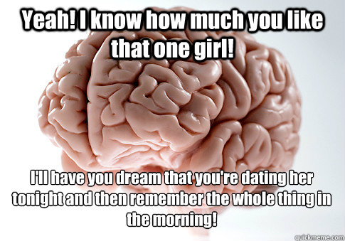 Yeah! I know how much you like that one girl! I'll have you dream that you're dating her tonight and then remember the whole thing in the morning!   Scumbag Brain