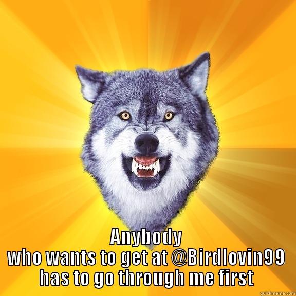  ANYBODY WHO WANTS TO GET AT @BIRDLOVIN99 HAS TO GO THROUGH ME FIRST Courage Wolf