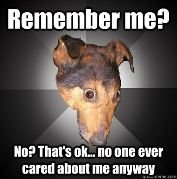 Remember me? No? That's ok... no one ever cared about me anyway  Depression Dog