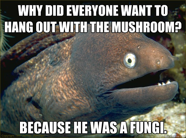 Why did everyone want to hang out with the mushroom? Because he was a fungi. - Why did everyone want to hang out with the mushroom? Because he was a fungi.  Bad Joke Eel