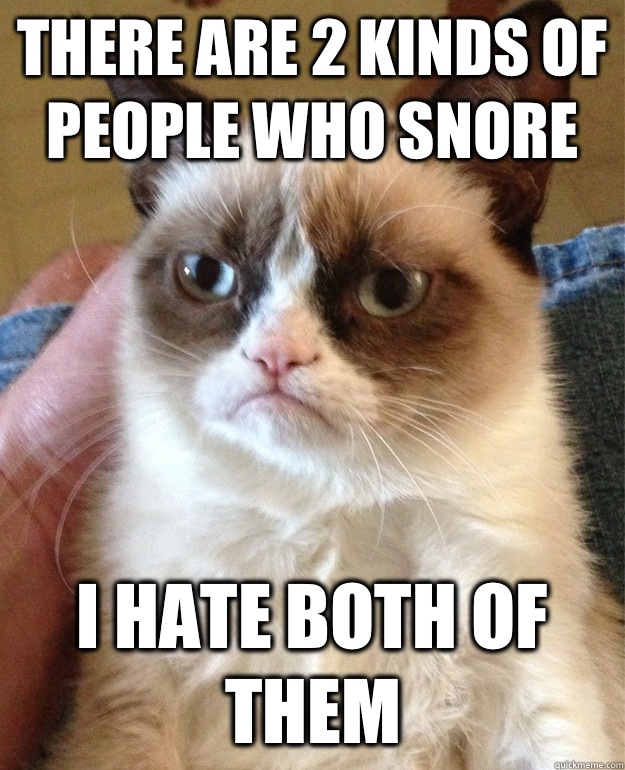 There are 2 kinds of people who snore I hate both of them  Grumpy Cat