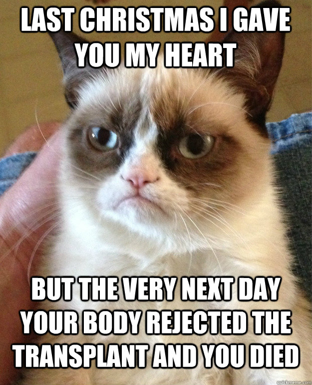 last christmas i gave you my heart but the very next day your body rejected the transplant and you died   Grumpy Cat