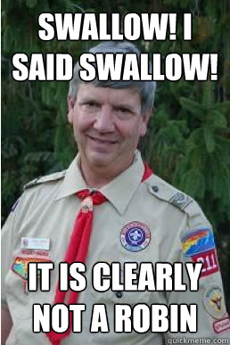 Swallow! I said Swallow! It is clearly not a Robin  Harmless Scout Leader