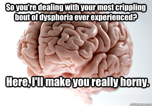 So you're dealing with your most crippling bout of dysphoria ever experienced? Here, I'll make you really horny.  Scumbag Brain