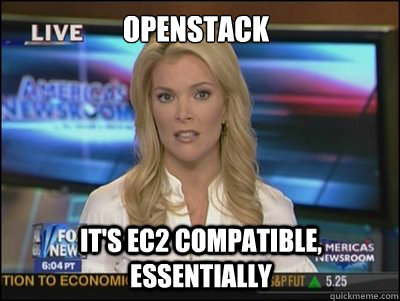 OpenStack It's EC2 compatible, essentially  Megyn Kelly