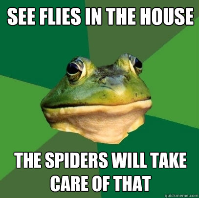 See flies in the house the spiders will take care of that  Foul Bachelor Frog