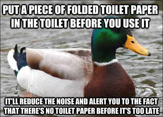 Put a piece of folded toilet paper in the toilet before you use it It'll reduce the noise and alert you to the fact that there's no toilet paper before it's too late  Actual Advice Mallard