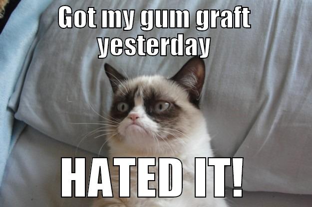 Grumpy Cat gets a Gum Graft - GOT MY GUM GRAFT YESTERDAY HATED IT! Grumpy Cat