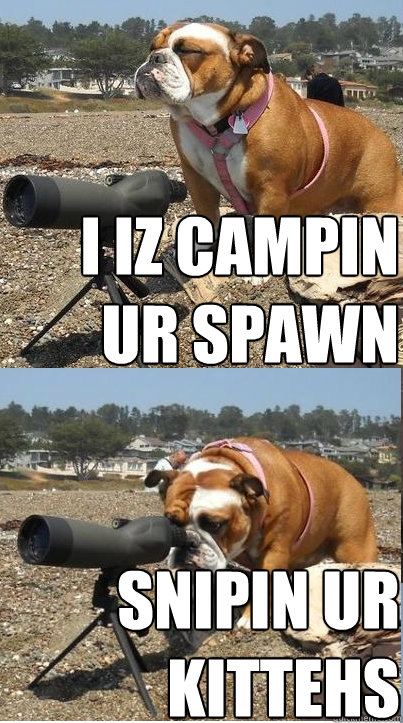 I iz campin ur spawn snipin ur kittehs  Tactical Bulldog