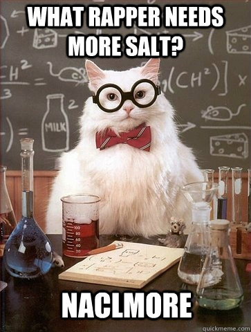 What rapper needs more salt? NaClMore - What rapper needs more salt? NaClMore  Chemistry Cat