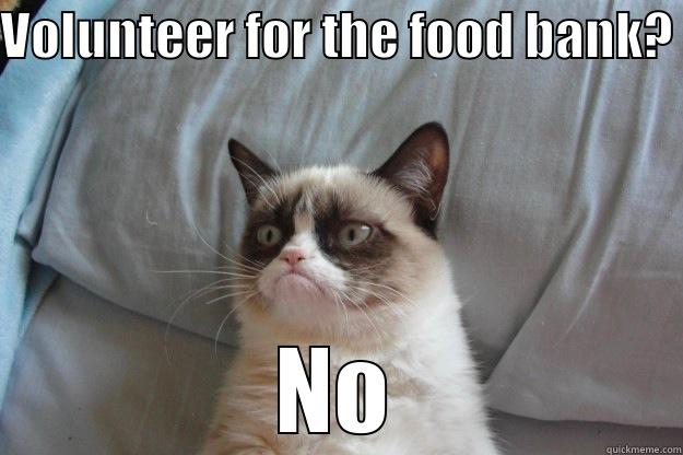 volunteer cat - VOLUNTEER FOR THE FOOD BANK? NO Grumpy Cat