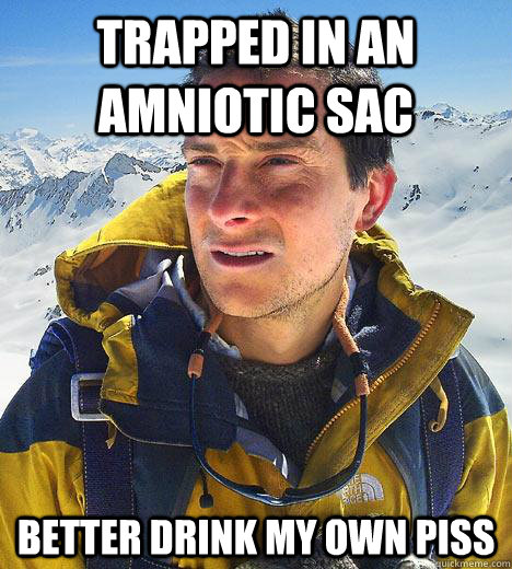 Trapped in an amniotic sac better drink my own piss - Trapped in an amniotic sac better drink my own piss  Bear Grylls