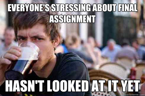 everyone's stressing about final assignment hasn't looked at it yet - everyone's stressing about final assignment hasn't looked at it yet  Lazy College Senior