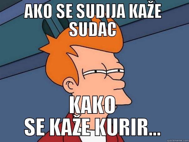 AKO SE SUDIJA KAŽE SUDAC KAKO SE KAŽE KURIR... Futurama Fry