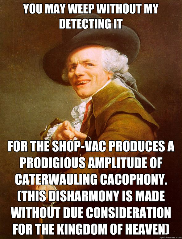 You may weep without my detecting it for the shop-vac produces a prodigious amplitude of caterwauling cacophony.
(This disharmony is made without due consideration for the kingdom of heaven)  Joseph Ducreux