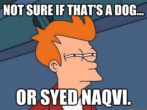 NOT SURE IF THAT'S A DOG... OR SYED NAQVI.  Futurama Fry