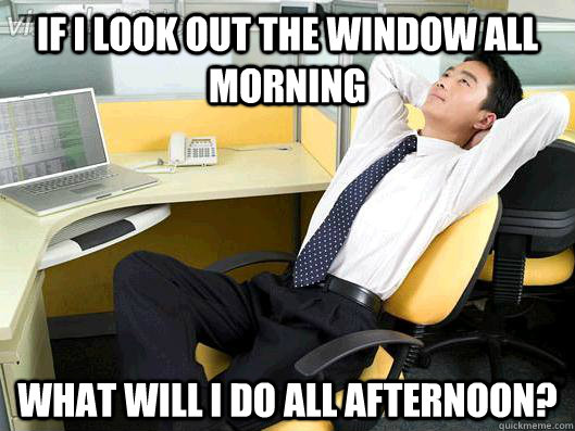 If I look out the window all morning what will I do all afternoon?  Office Thoughts