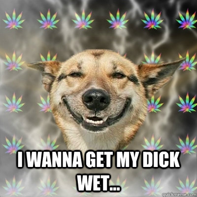  I wanna get my dick wet...  Stoner Dog