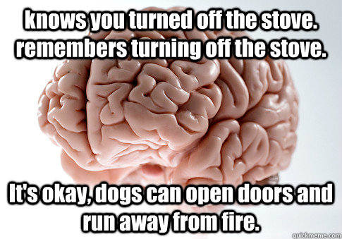 knows you turned off the stove. remembers turning off the stove. It's okay, dogs can open doors and run away from fire.  Scumbag Brain