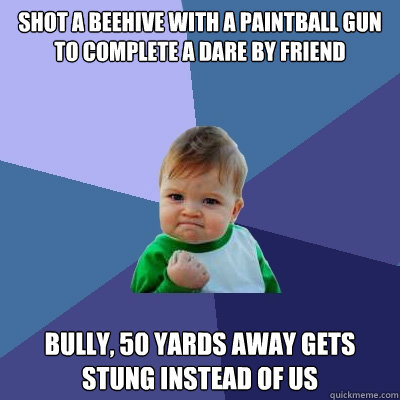 shot a beehive with a paintball gun to complete a dare by friend bully, 50 yards away gets stung instead of us  Success Kid