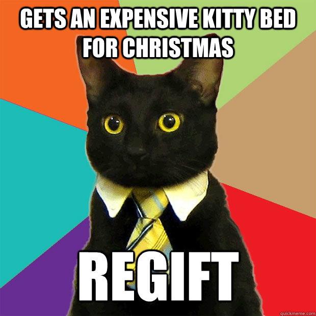 gets an expensive kitty bed for christmas regift  Business Cat