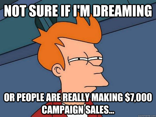 Not sure if I'm dreaming or people are really making $7,000 campaign sales...  Futurama Fry