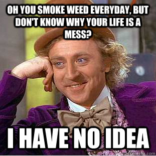 Oh you smoke weed everyday, but don't know why your life is a mess? I have no idea  Condescending Wonka