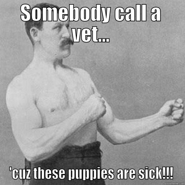 SOMEBODY CALL A VET... 'CUZ THESE PUPPIES ARE SICK!!! overly manly man