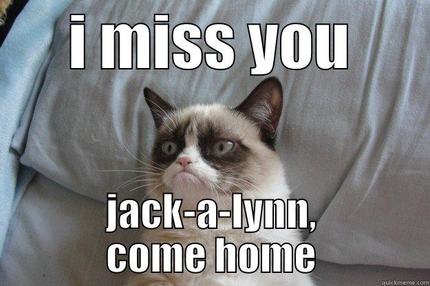     - I MISS YOU JACK-A-LYNN, COME HOME Grumpy Cat