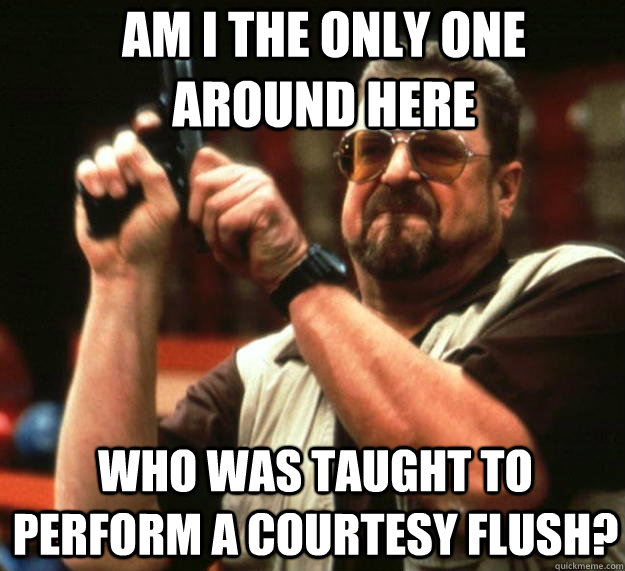 Am I the only one around here Who was taught to perform a courtesy flush?  Angry Walter