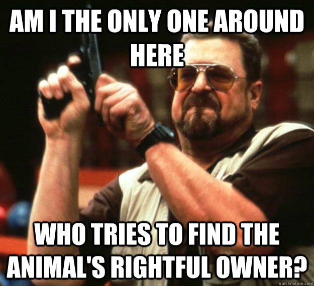 am I the only one around here who tries to find the animal's rightful owner?  Angry Walter