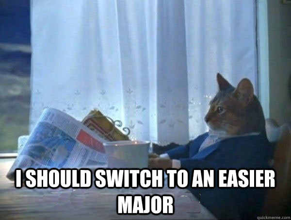  I should switch to an easier major  morning realization newspaper cat meme