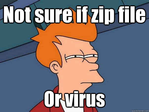 Not sure if zip file Or virus  Futurama Fry