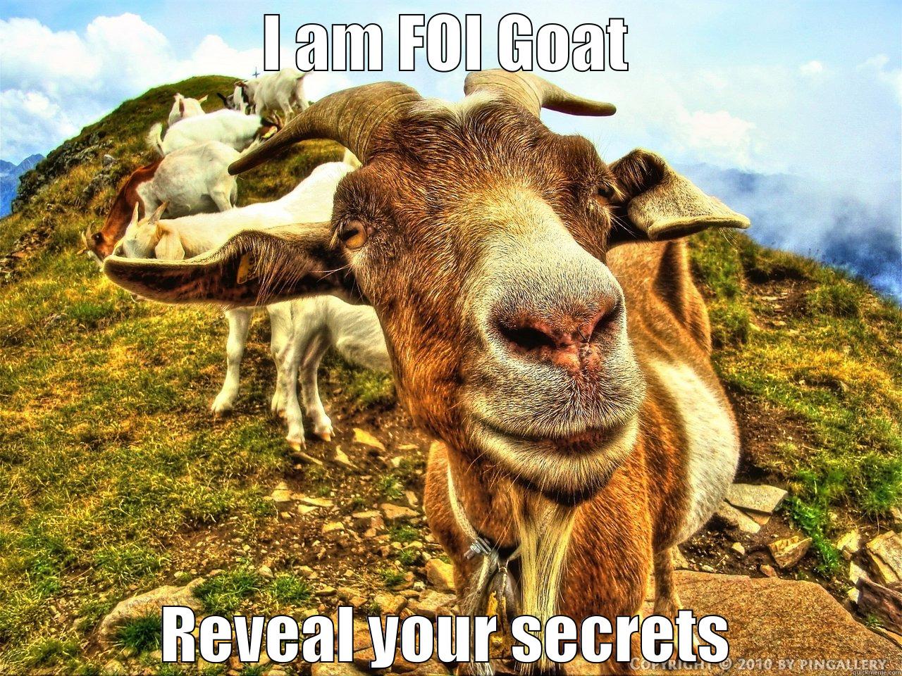 I AM FOI GOAT REVEAL YOUR SECRETS Misc