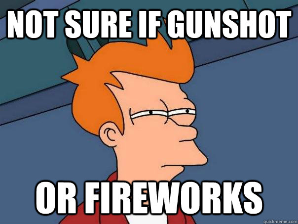 Not sure if gunshot or fireworks  Futurama Fry