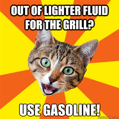 Out of lighter fluid for the grill? use gasoline!  Bad Advice Cat