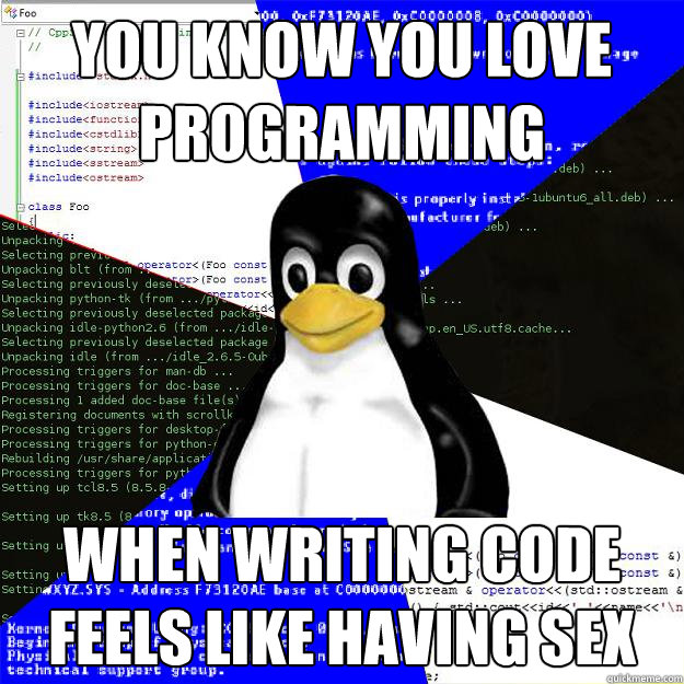 You know you love programming when writing code feels like having sex  