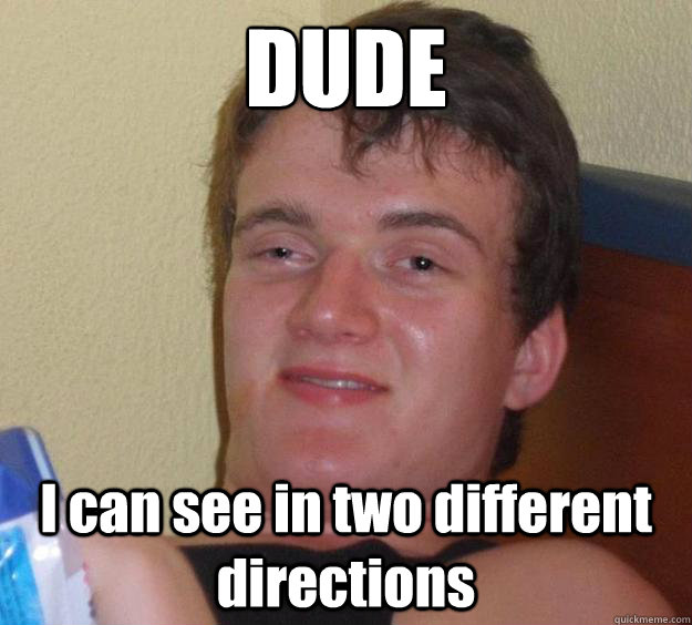 DUDE I can see in two different directions - DUDE I can see in two different directions  10 Guy