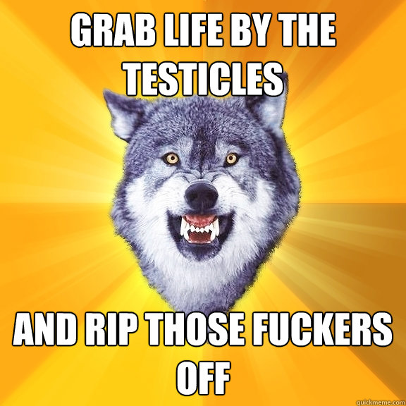 Grab Life by the testicles and rip those fuckers off  Courage Wolf